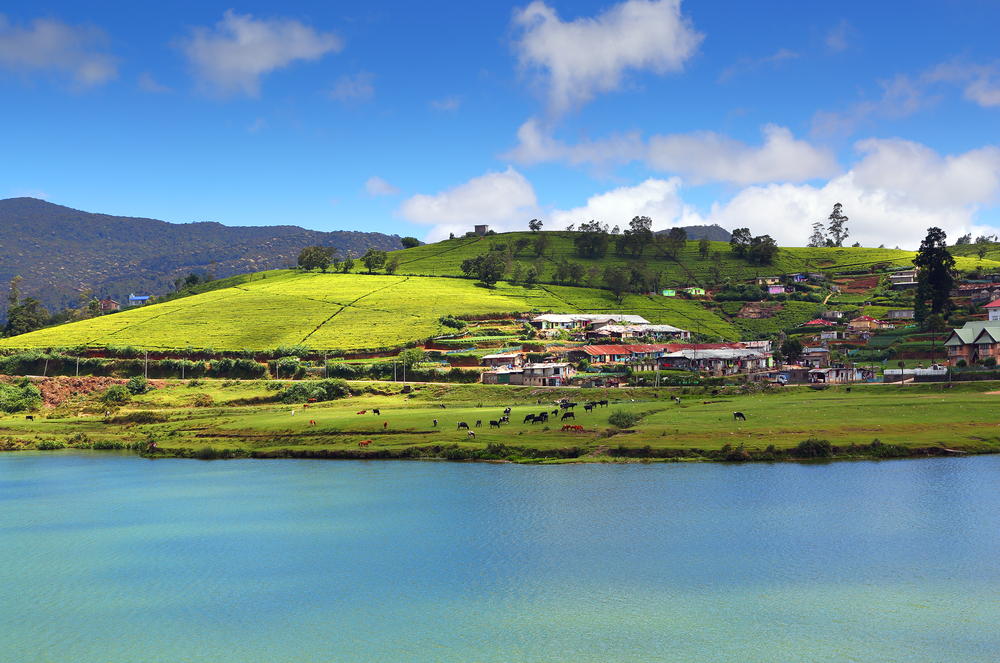 Places-to-visit-Nuwara-Eliya