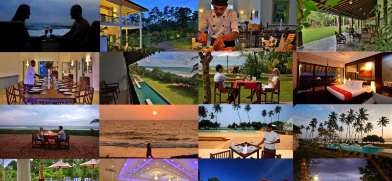 back (1)